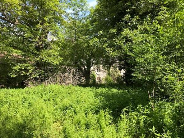 Meisterhaus Seitenansicht